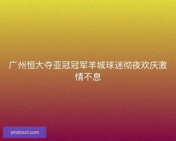 广州恒大夺亚冠冠军羊城球迷彻夜欢庆激情不息