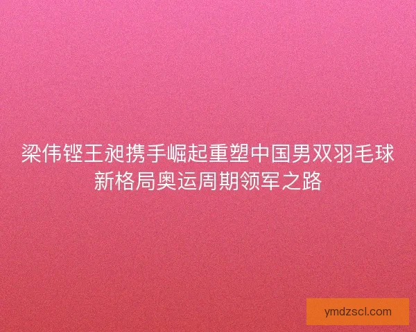 梁伟铿王昶携手崛起重塑中国男双羽毛球新格局奥运周期领军之路