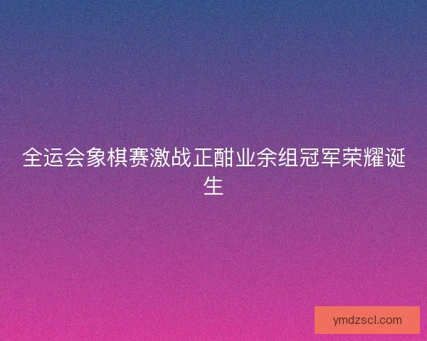全运会象棋赛激战正酣业余组冠军荣耀诞生