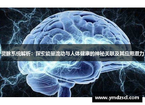 灵脉系统解析：探索能量流动与人体健康的神秘关联及其应用潜力