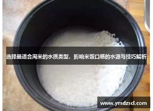 选择最适合淘米的水质类型，影响米饭口感的水源与技巧解析