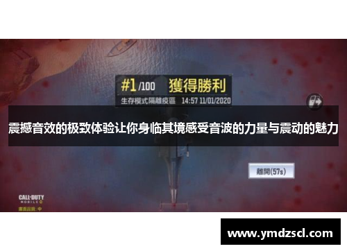 震撼音效的极致体验让你身临其境感受音波的力量与震动的魅力