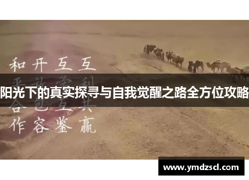 阳光下的真实探寻与自我觉醒之路全方位攻略